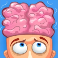 Puzzle Brain
